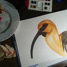 Primeras Acuarelas . Traditional illustration project by Daniela Wróbel - 03.10.2017