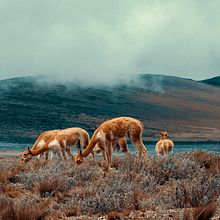 Somos Altitud - Ecuador. Photograph, Digital Photograph, Outdoor Photograph, L, and scape Architecture project by Luisa Fernanda Velásquez - 05.20.2019