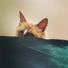 Kayobi. Photograph, and Mobile Photograph project by Milú Serrano - 12.15.2019