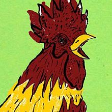 Gallo Ein Projekt aus dem Bereich Zeichnung, Design und Traditionelle Illustration von Santiago Maldonado Lasso - 16.12.2019