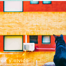 Bruma y olvido, proyecto para Editing of Photo Books and Visual Storytelling. Photograph project by beauseant - 12.16.2019