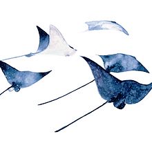 Arraias aquareladas. Drawing, Traditional illustration, Painting, and Watercolor Painting project by Louise Kanefuku - 12.17.2019