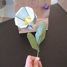 Origami. Paper Craft project by Inés Durán Vega - 09.29.2019