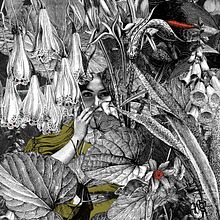 Aura. Un progetto di Collage, Illustrazione tradizionale e Illustrazione digitale di Alejandra Acosta - 18.12.2019