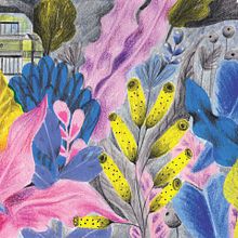 Axolotl. Pencil Drawing, and Children's Illustration project by Alejandra Acosta - 12.18.2019