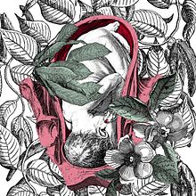 Del enebro. Collage, Traditional illustration, Photo Retouching, and Character Design project by Alejandra Acosta - 12.19.2019