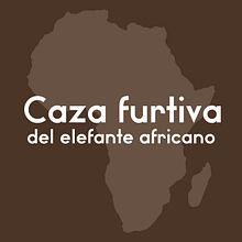 Infografía- Caza Furtiva del elefante africano. Un proyecto de Diseño de iluminación y Diseño gráfico de Javier Julián - 28.12.2019