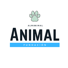 Mi Proyecto del curso: Google Ads y Facebook Ads desde cero. Un progetto di Marketing digitale di hooversamuelpuerta - 28.12.2019