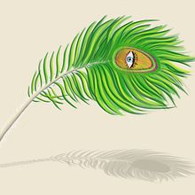 Mi Proyecto del curso: Ilustración digital con Procreate. Drawing project by Cristina Álamo - 12.28.2019