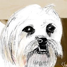 Leo, mi compañero del dibujo. Drawing project by Claudir Segura - 12.30.2019