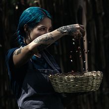 Cardo Ceniza Azul. Photograph project by Miguel Garzón - 09.25.2019