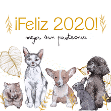 Contenido RRSS. Animação, Ilustração tradicional, e Redes sociais projeto de Iratxe González - 02.01.2020