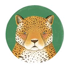 Calendario animales de Colombia 2019 . % Anna Sánchez tarafından hazırlanan Geleneksel illüstras, on, Dijital İllüstras, Ve on projesi - 12.11.2018