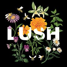 Fotografía publicitaria LUSH. Un progetto di Fotografia, Fotografia di prodotti e Fotografia pubblicitaria di Carmen Delgado Cardeñas - 08.01.2018