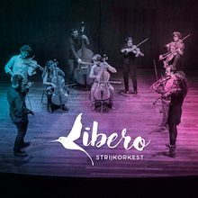 Branding para LIBERO STRIJKORKEST. Br, ing, Identit, and Graphic Design project by Estefanía Sanz Ávila - 04.09.2017