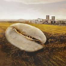 Mi Proyecto del curso: Retoque fotográfico y efectos visuales con Photoshop Ein Projekt aus dem Bereich Plakatdesign von Julio Hernández - 07.02.2020