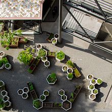 HUERTO URBANO EN EDIFICIO CIRCULO FRANCÉS. Architecture, Decoration, Interior Design, L, and scape Architecture project by EN·CONCRETO - 01.09.2020
