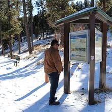 una historia que contar . Un projet de Art urbain de dayana tablante - 10.01.2020