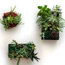 Mi Proyecto del curso: Diseño y creación de composiciones botánicas. Arts, and Crafts project by Karla Fonseca - 01.09.2020