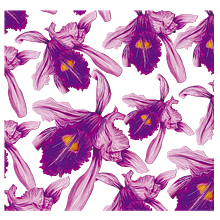 Colección Candria ganador del primer lugar del 11º premio Mario Hernández . Un progetto di Design di scarpe e Design di accessori di Daniela Escobar Ballesteros - 24.01.2020