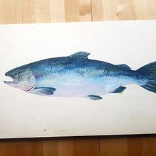 SALMÓN - Seafood collection . Arte plastice, Desen & Ilustrație tradițională de Natuca Requero - 01.13.2020