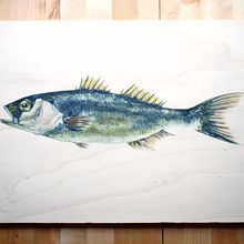 LUBINA / Seafood collection . Arte plastice, Creativitate, Desen & Ilustrație tradițională de Natuca Requero - 01.13.2020