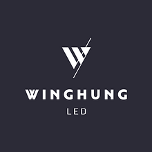 Winghung LED. Un proyecto de Diseño gráfico, Br, ing e Identidad, Diseño de logotipos y Pattern Design de Sonia Vidal Garcia - 30.01.2019