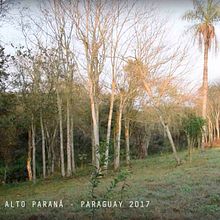 VÍDEO - Filmación, edición y postproducción. Un proyecto de Arquitectura, Creatividad, Edición de vídeo, Educación, Multimedia, Post-producción fotográfica		, Postproducción audiovisual, Producción audiovisual					, Realización audiovisual, Retoque fotográfico y Vídeo de Georgina Morello Rinaldi - 13.01.2020