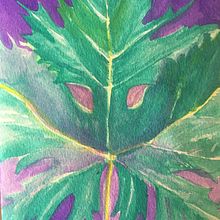 La primeras acuarelas . Un progetto di Illustrazione botanica di loretoreyesmontero - 14.01.2020