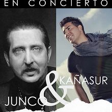 Cartel Concierto el Junco. Un proyecto de Diseño de carteles y Diseño gráfico de Sarhinas Brown - 06.08.2016