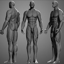 Biped Humand . % MrMutantS tarafından hazırlanan 3D, Ve 3D Modelleme projesi - 02.10.2019