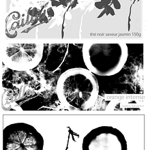 Nestlé. Graphic Design project by manuaymon - 01.16.2005