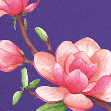 Mi Proyecto del curso: Ilustración botánica con acuarela. Un progetto di Illustrazione botanica e Pittura ad acquerello di Manuel Camacho - 17.01.2020