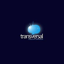 TRANSVERSAL (traducción audiovisual). Design projeto de sashimi - 18.01.2020