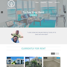 Triton Miami Investment. Projekt z dziedziny Tworzenie stron internetow i ch użytkownika Jose Romero - 18.01.2020