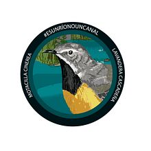 Río Manzanares. Un proyecto de Creatividad, Dibujo, Diseño gráfico e Ilustración tradicional de Guillermo Proximamente:... - 21.01.2018
