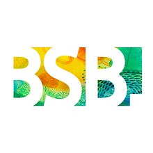 Logotipo empresa BSB. Art Direction, Logo Design, Digital Design, and Graphic Design project by Daniel Cifani Conforti - 03.20.2019