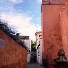 Mi Proyecto del curso: Fotografía profesional para Instagram. Projekt z dziedziny Fotografowanie smartfonem użytkownika Elena Locatelli - 29.01.2020
