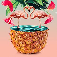 Tropical. Collage, Digital Design, Traditional illustration, and Digital Illustration project by Ile Machado - 03.20.2017