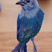 Birds. Embroider project by Elo (Saturno Rosa) - 01.23.2020