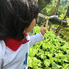Conectando tu humanidad en armonía con la naturaleza . Educație de angiesamper1 - 01.27.2020