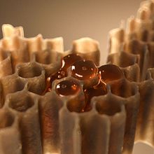 Honey Fluid simulation . % Noisegraph Studio tarafından hazırlanan 3D, 3D Animas, on, Ve Sanat Yönetmenliği projesi - 01.27.2020