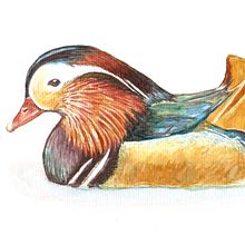 Mi Proyecto del curso: Técnicas experimentales de acuarela para principiantes . Traditional illustration, and Watercolor Painting project by Nerwen Earwen - 01.30.2020