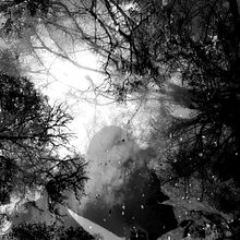 Black Out - entrega final. Fine-Art Photograph project by Idalia Rivera - 01.30.2020