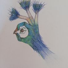 Mi primer dibujo. Un progetto di Disegno di Paula - 01.02.2020