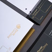 Pernix Consulting. Br, ing, Identit, Logo Design, T, pograph, Design, T, and pograph project by Monotypo Studio - 02.02.2020