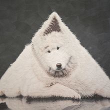 Perros y Gatos 3. Un proyecto de Diseño de personajes, Collage, Bellas Artes e Ilustración tradicional de Lola Dupre - 04.02.2020