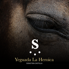 La Heroica. Un progetto di Direzione artistica, Design per smartphone e Web design di Trini García - 04.02.2020
