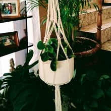 Macetero, macetas colgantes . % Luz Elena Villalobos tarafından hazırlanan Dekoras, Ve on projesi - 02.04.2020