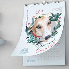 Calendarios. Editorial Design, and Graphic Design project by KRIS MARTIN - 02.06.2019
